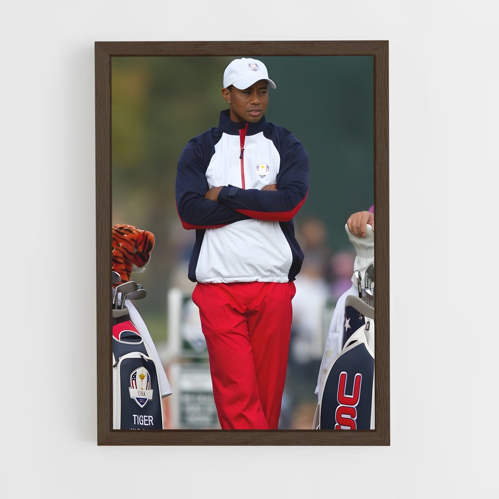 Poster Duel de Tigres – affiche Golf (vue 5)